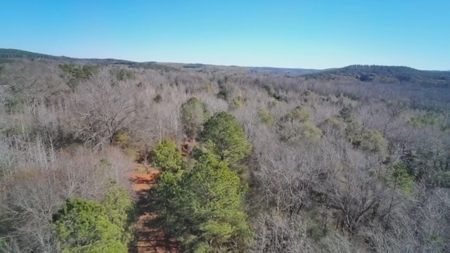 183 Acres for Sale in Moundville, Alabama - image 26