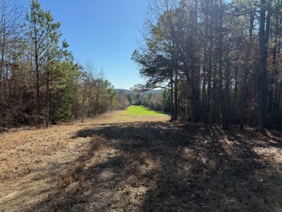 183 Acres for Sale in Moundville, Alabama - image 14