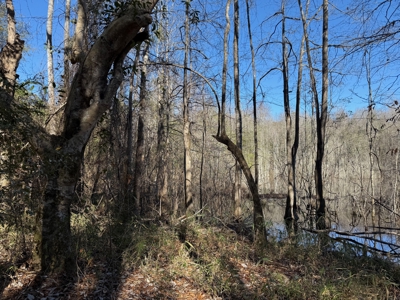 183 Acres for Sale in Moundville, Alabama - image 43