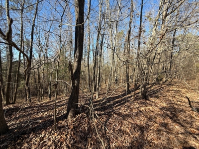 183 Acres for Sale in Moundville, Alabama - image 34