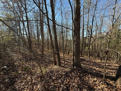 183 Acres for Sale in Moundville, Alabama - image 32