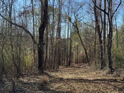 183 Acres for Sale in Moundville, Alabama - image 21