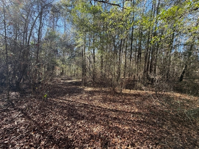 183 Acres for Sale in Moundville, Alabama - image 40