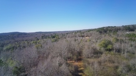 183 Acres for Sale in Moundville, Alabama - image 23