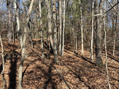 183 Acres for Sale in Moundville, Alabama - image 17