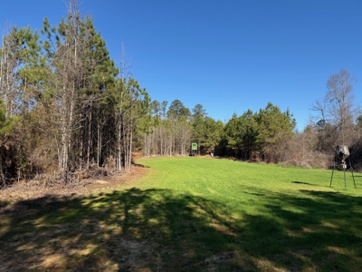 183 Acres for Sale in Moundville, Alabama - image 1