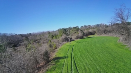 183 Acres for Sale in Moundville, Alabama - image 12