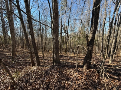 183 Acres for Sale in Moundville, Alabama - image 33