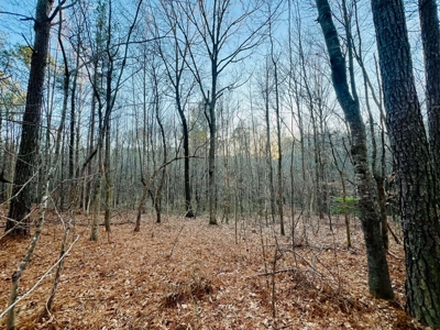 Recreation and Hunting Land in Burnsville, MS Prentiss Co., MS - image 20