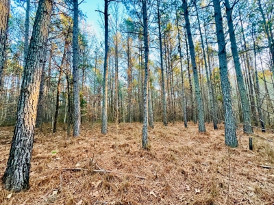 Recreation and Hunting Land in Burnsville, MS Prentiss Co., MS - image 13