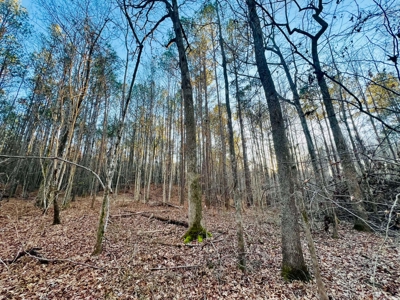 Recreation and Hunting Land in Burnsville, MS Prentiss Co., MS - image 11
