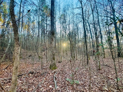 Recreation and Hunting Land in Burnsville, MS Prentiss Co., MS - image 5