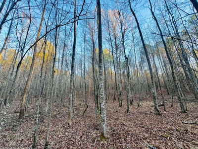 Recreation and Hunting Land in Burnsville, MS Prentiss Co., MS - image 17