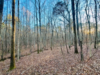 Recreation and Hunting Land in Burnsville, MS Prentiss Co., MS - image 14