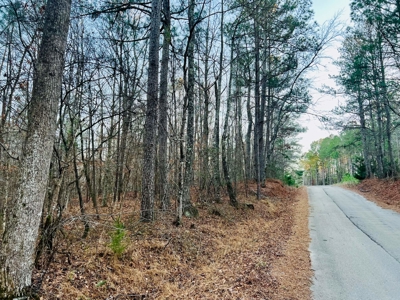 Recreation and Hunting Land in Burnsville, MS Prentiss Co., MS - image 2