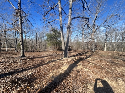 2 Acres in Higland, AR for sale - image 10