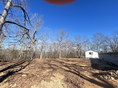 2 Acres in Higland, AR for sale - image 7