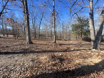 2 Acres in Higland, AR for sale - image 9