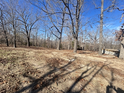 2 Acres in Higland, AR for sale - image 12
