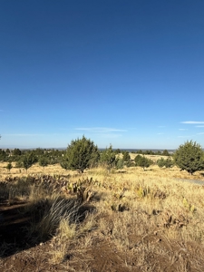 20 Acres For Sale in Alturas, California - image 23
