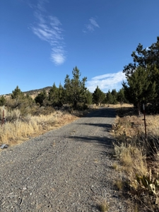 20 Acres For Sale in Alturas, California - image 25