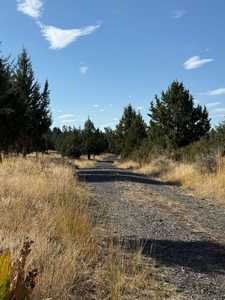 20 Acres For Sale in Alturas, California - image 15