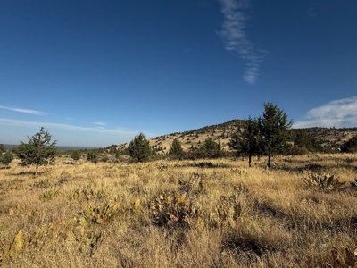20 Acres For Sale in Alturas, California - image 19