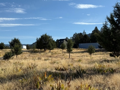 20 Acres For Sale in Alturas, California - image 10