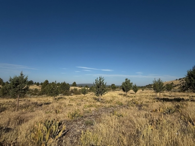 20 Acres For Sale in Alturas, California - image 17