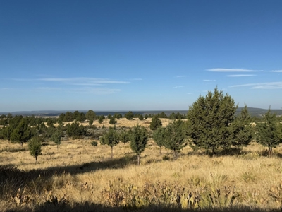 20 Acres For Sale in Alturas, California - image 24