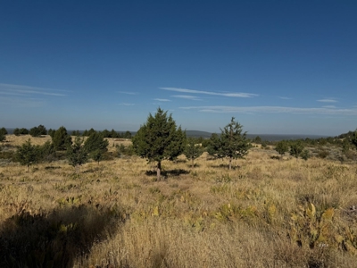 20 Acres For Sale in Alturas, California - image 20