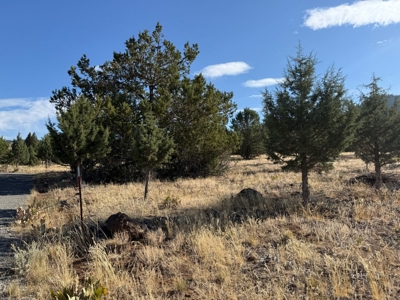 20 Acres For Sale in Alturas, California - image 26