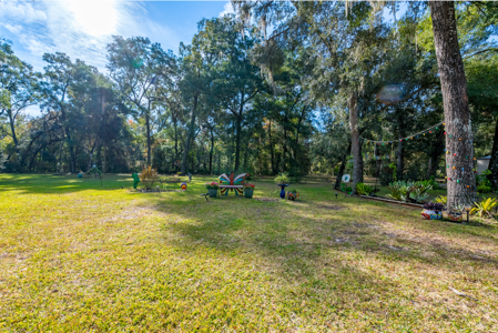 Custom 3BR/2BA Home on 10.3 acres with barn & RV hookup - image 10