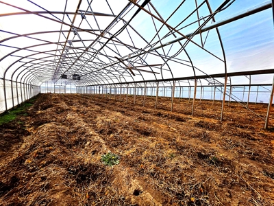 Polk County MO Farm For Sale Beautiful Home & Large Green Houses - image 20