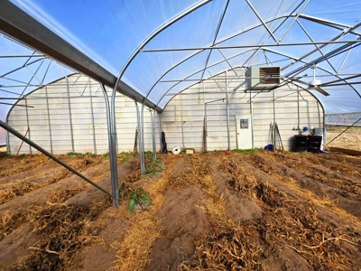 Polk County MO Farm For Sale Beautiful Home & Large Green Houses - image 14