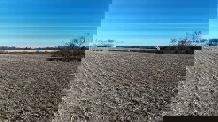 Polk County MO Farm For Sale Beautiful Home & Large Green Houses - image 36