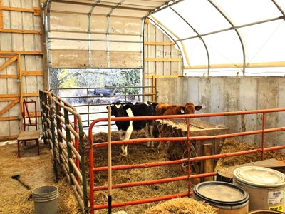 Polk County MO Farm For Sale Beautiful Home & Large Green Houses - image 43