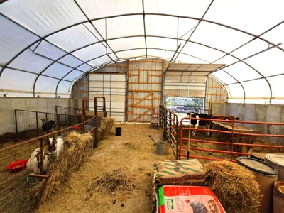 Polk County MO Farm For Sale Beautiful Home & Large Green Houses - image 40