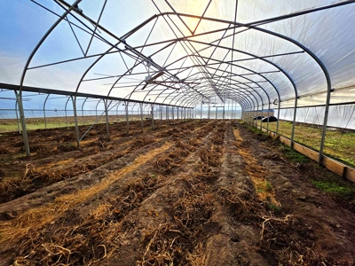 Polk County MO Farm For Sale Beautiful Home & Large Green Houses - image 15