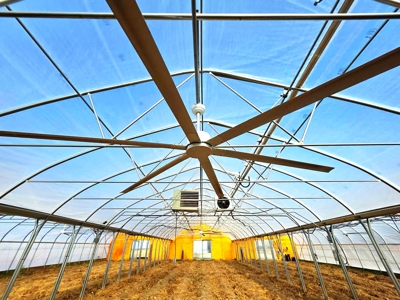 Polk County MO Farm For Sale Beautiful Home & Large Green Houses - image 23