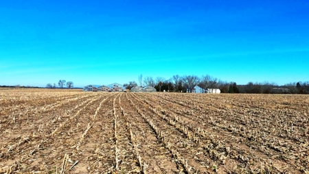 Polk County MO Farm For Sale Beautiful Home & Large Green Houses - image 30
