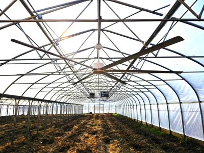 Polk County MO Farm For Sale Beautiful Home & Large Green Houses - image 16