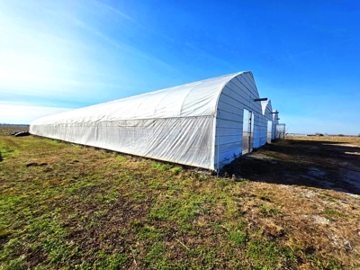 Polk County MO Farm For Sale Beautiful Home & Large Green Houses - image 22