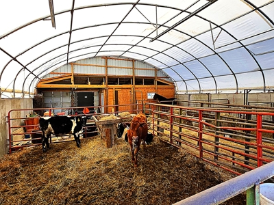 Polk County MO Farm For Sale Beautiful Home & Large Green Houses - image 45