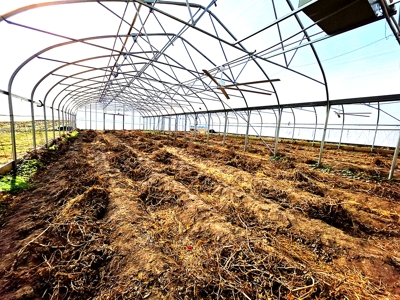 Polk County MO Farm For Sale Beautiful Home & Large Green Houses - image 18