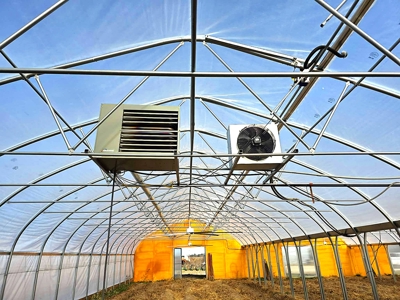 Polk County MO Farm For Sale Beautiful Home & Large Green Houses - image 24