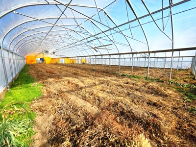 Polk County MO Farm For Sale Beautiful Home & Large Green Houses - image 21