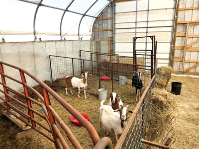 Polk County MO Farm For Sale Beautiful Home & Large Green Houses - image 41