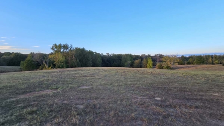 Overton TX Land for Sale Near Kilgore in Rusk County East Texas - image 25