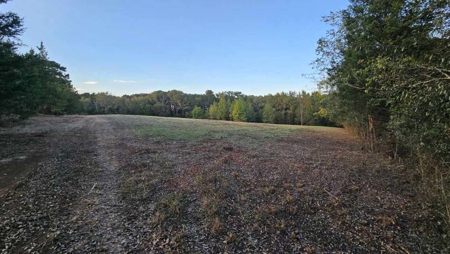 Overton TX Land for Sale Near Kilgore in Rusk County East Texas - image 26